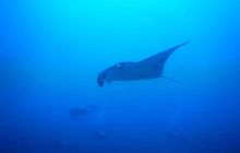 Zdjęcia z wyjazdu na Malediwy