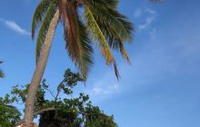 Zdjęcia z wyjazdu na Malediwy