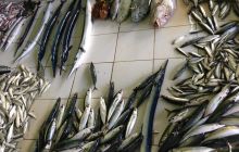 Zdjęcia z wyjazdu na Malediwy