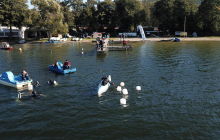 Foto - Relacja z Turieju Nurkowego