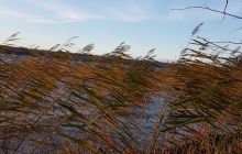 Zdjęcia z wyjazdu nurkowe nad Hańczę