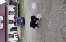 Zdjęcia z wyjazdu nurkowe nad Hańczę