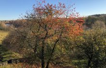 Zdjęcia z wyjazdu nurkowe nad Hańczę