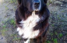 Zdjęcia z wyjazdu nurkowe nad Hańczę