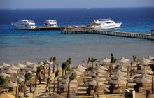 Ferie nurkowe w Safadze