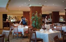 Ferie nurkowe w Safadze