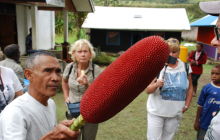 Galeria zdjęć z wyprawy Papua Zachodnia