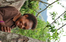 Galeria zdjęć z wyprawy Papua Zachodnia