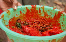 Galeria zdjęć z wyprawy Papua Zachodnia