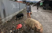 Galeria zdjęć z wyprawy Papua Zachodnia