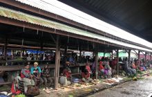 Galeria zdjęć z wyprawy Papua Zachodnia