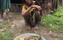 Galeria zdjęć z wyprawy Papua Zachodnia