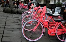 Galeria zdjęć z wyprawy Papua Zachodnia