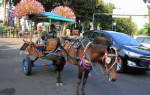 Galeria zdjęć z wyprawy Papua Zachodnia