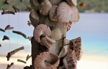 Galeria zdjęć z wyprawy Papua Zachodnia