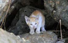 Galeria zdjęć z wyprawy Papua Zachodnia