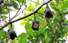 Galeria zdjęć z wyprawy Papua Zachodnia