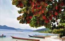 Galeria zdjęć z wyprawy Papua Zachodnia