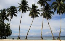 Galeria zdjęć z wyprawy Papua Zachodnia