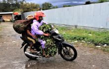 Galeria zdjęć z wyprawy Papua Zachodnia