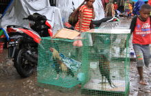 Galeria zdjęć z wyprawy Papua Zachodnia