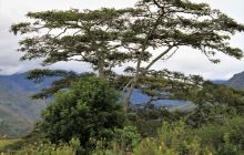 Galeria zdjęć z wyprawy Papua Zachodnia