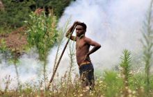 Galeria zdjęć z wyprawy Papua Zachodnia