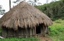Galeria zdjęć z wyprawy Papua Zachodnia