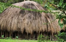 Galeria zdjęć z wyprawy Papua Zachodnia