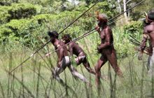 Galeria zdjęć z wyprawy Papua Zachodnia