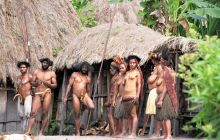 Galeria zdjęć z wyprawy Papua Zachodnia