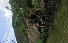 Galeria zdjęć z wyprawy Papua Zachodnia