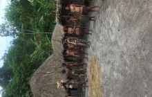 Galeria zdjęć z wyprawy Papua Zachodnia