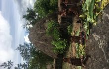 Galeria zdjęć z wyprawy Papua Zachodnia