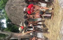 Galeria zdjęć z wyprawy Papua Zachodnia