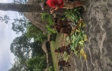 Galeria zdjęć z wyprawy Papua Zachodnia