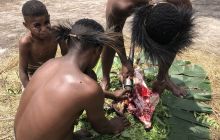 Galeria zdjęć z wyprawy Papua Zachodnia