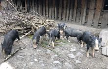 Galeria zdjęć z wyprawy Papua Zachodnia