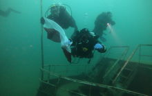 Zdjęcia nurkowanie dla Niepodległej 