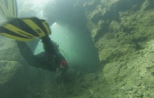 Zdjęcia z lisopadowego wyjazdu do Piechcina