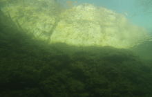 Zdjęcia z lisopadowego wyjazdu do Piechcina