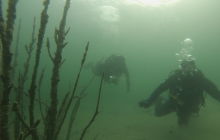 Zdjęcia z lisopadowego wyjazdu do Piechcina