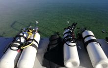 Zdjęcia z lisopadowego wyjazdu do Piechcina