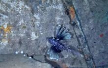 Zdjęcia z wyjzdu na Cypr