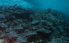 Galeria z Wyjazdu do Tajlandii 2019 turnus I