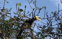 Galeria z Wyjazdu do Tajlandii 2019 turnus I