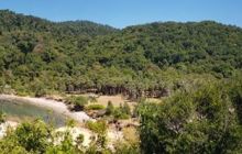 Galeria z Wyjazdu do Tajlandii 2019 turnus I