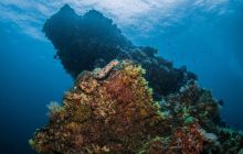 Galeria z Wyjazdu do Tajlandii 2019 turnus I