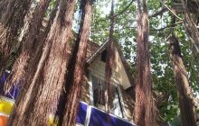 Galeria z Wyjazdu do Tajlandii 2019 turnus I