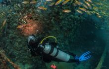 Galeria z Wyjazdu do Tajlandii 2019 turnus I